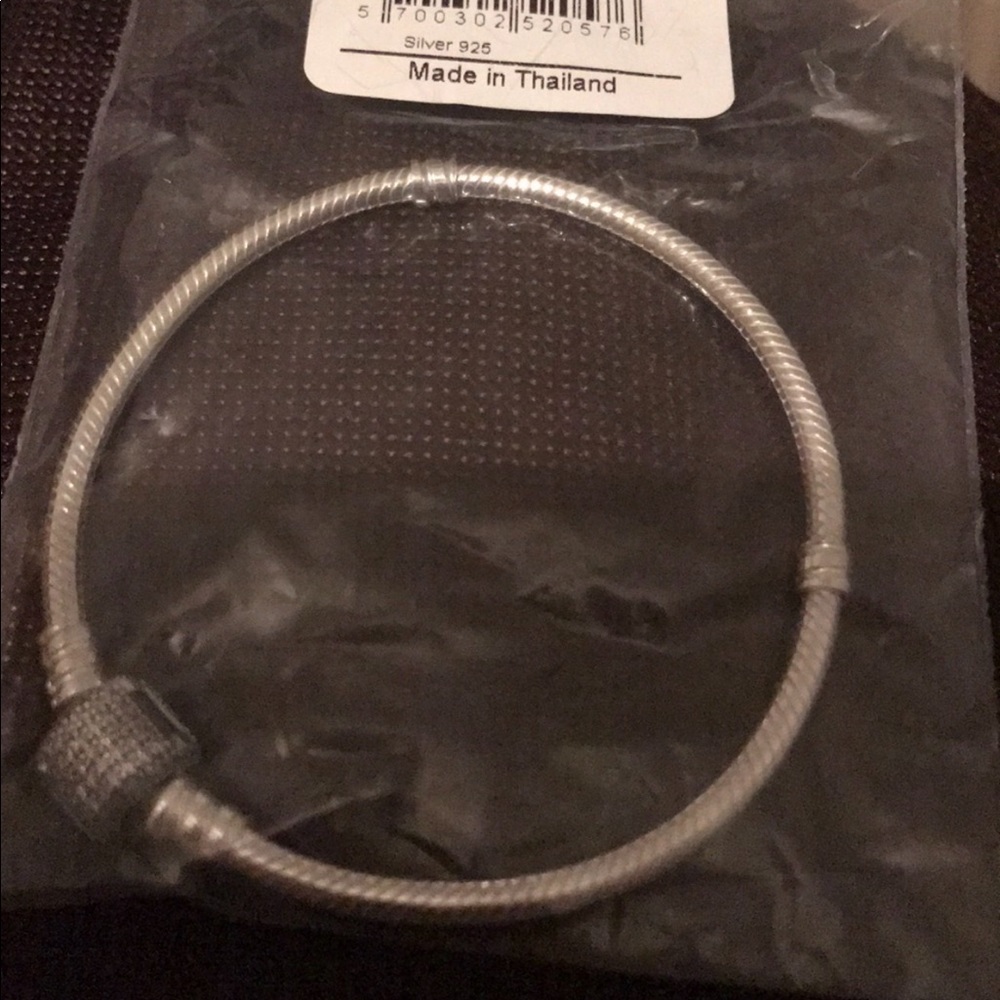 Pandora Charm Bracelet